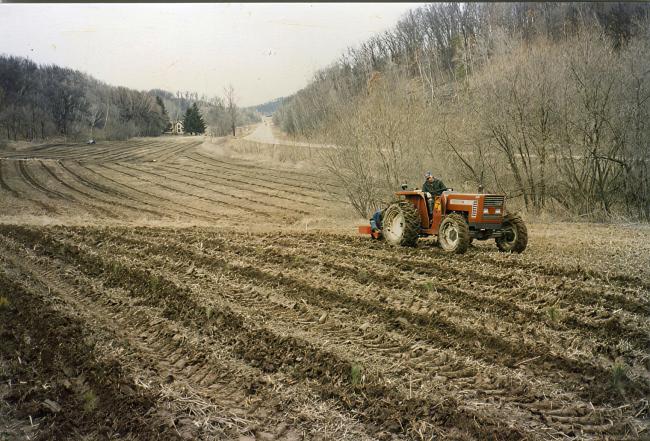 Cropland before tree planting in 1989