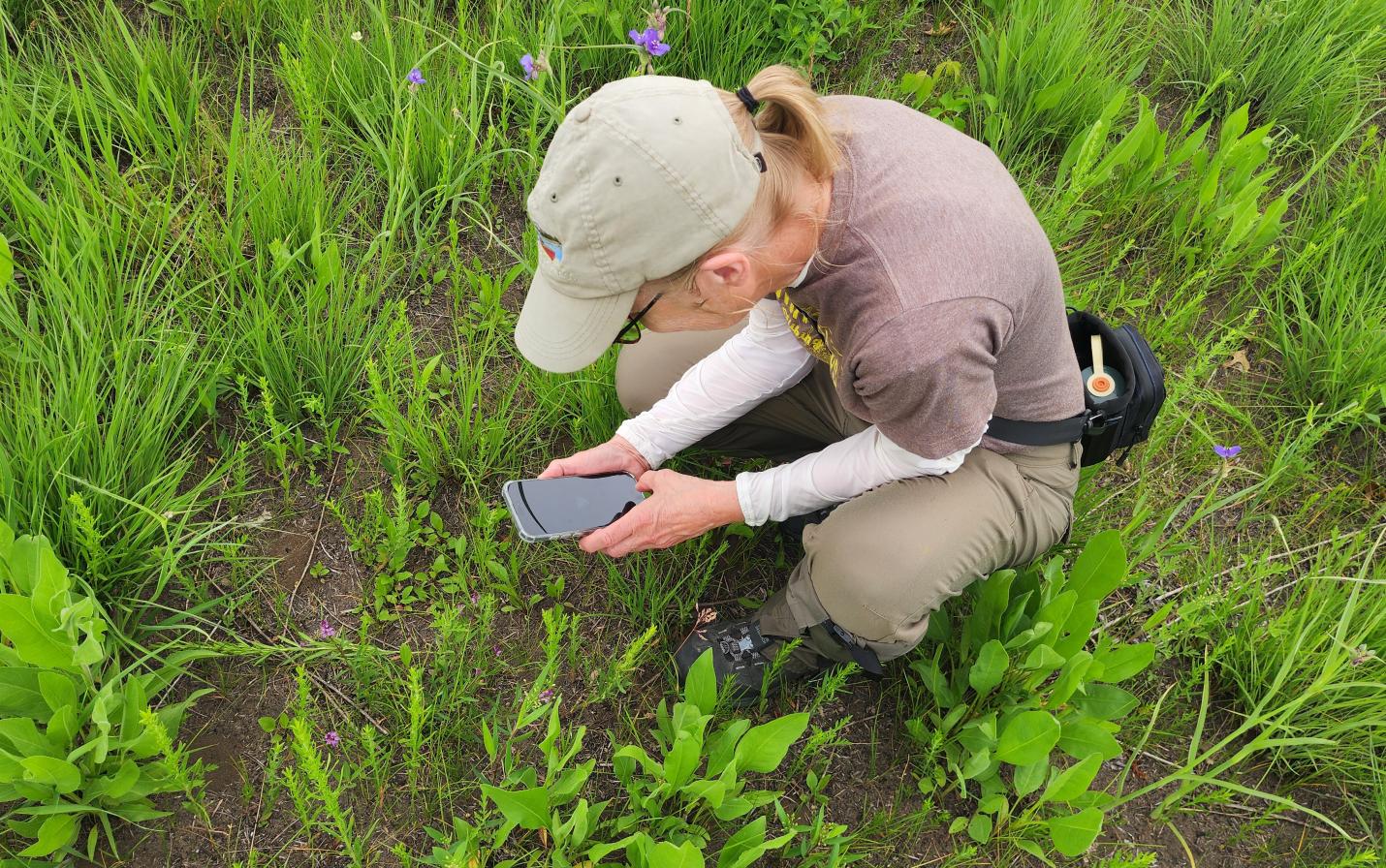 Marge photographs a native plant at Holland Sand Prairie