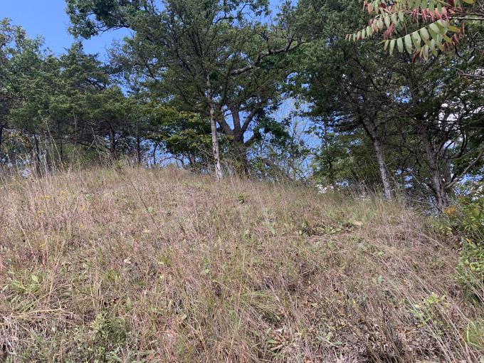 Mississippi Valley Conservancy prairie protected now