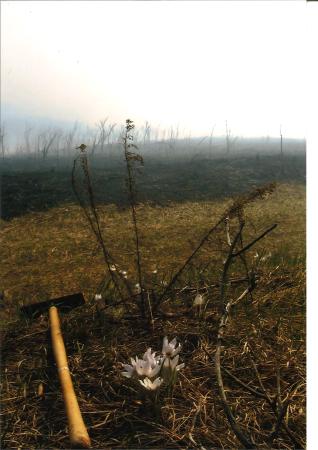 after burn