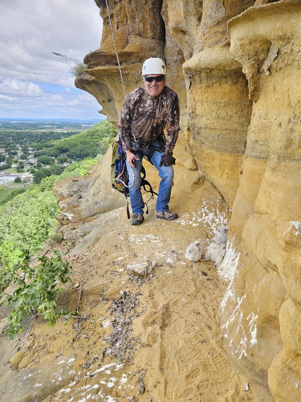 cliff