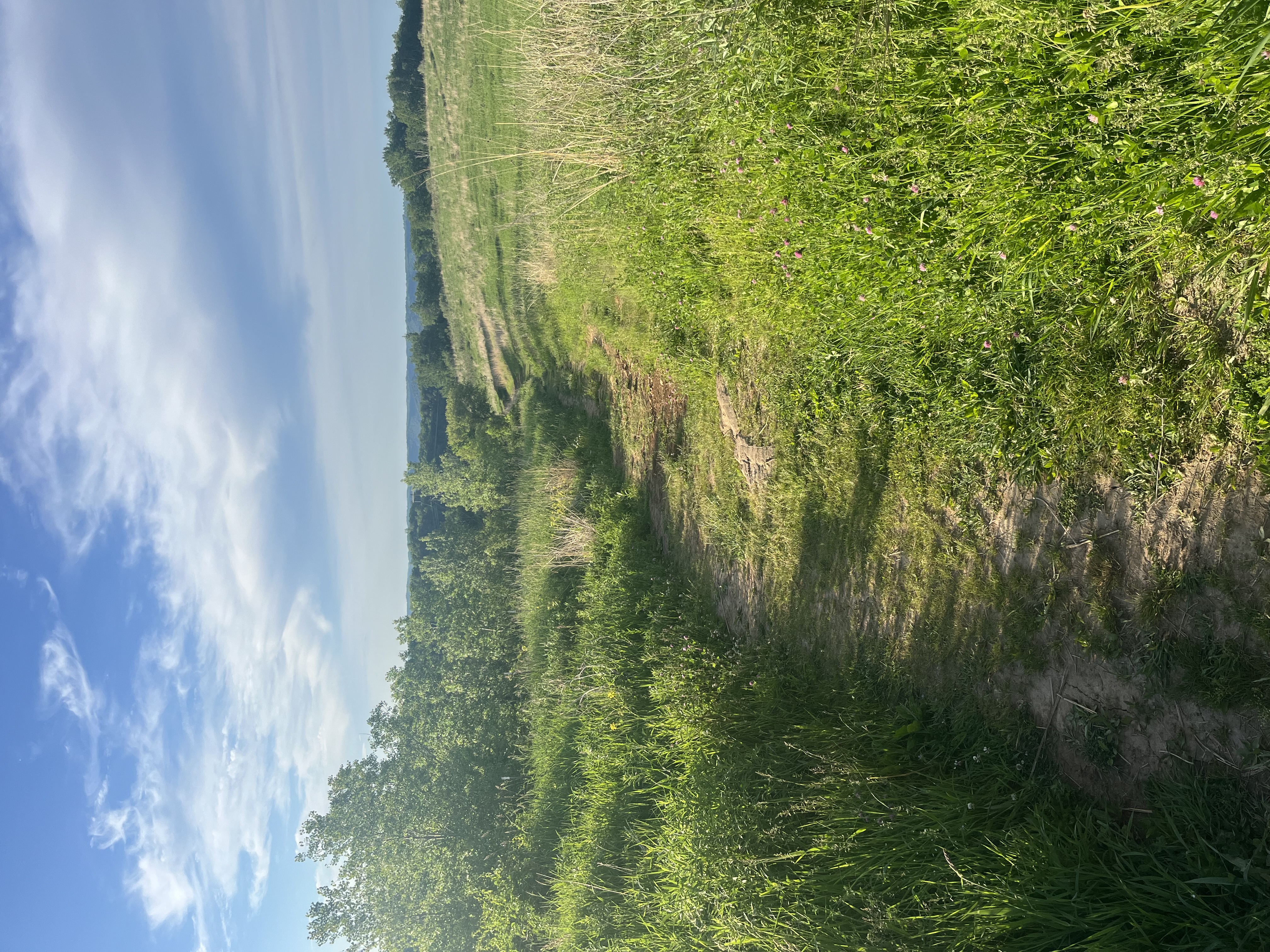 path