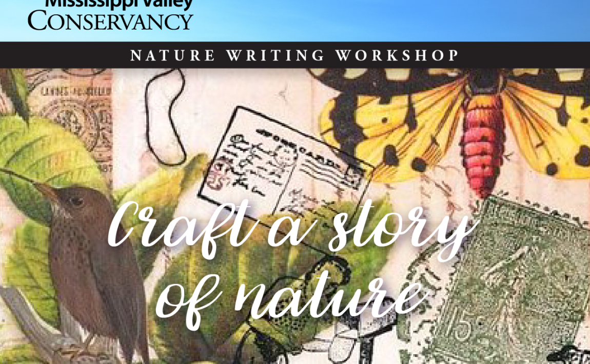 craft a story of nature