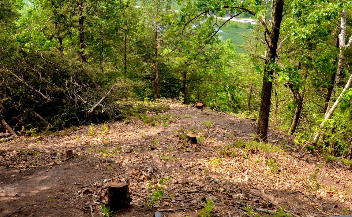 Cardinal Bluff Mississippi Valley Conservancy