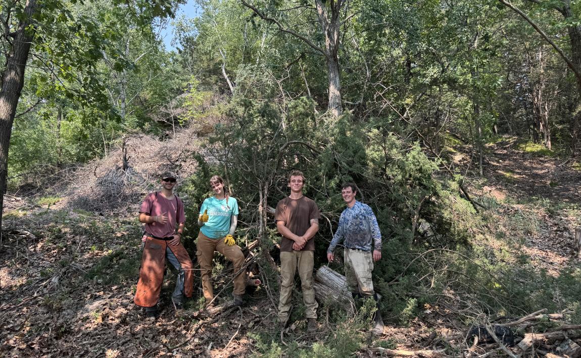 Cardinal Bluff clearing