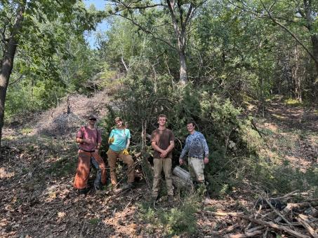 Cardinal Bluff clearing