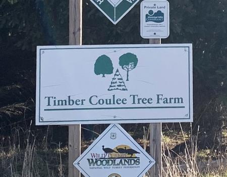 Tree farm sign