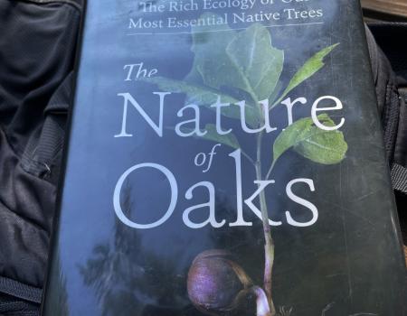 The Nature of Oaks – a book by Douglas Tallamy