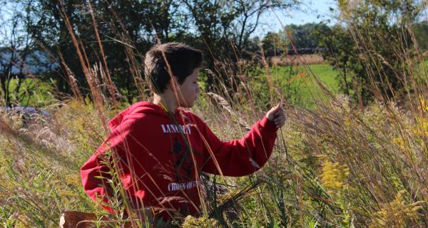 young volunteer collecting prairie seeds