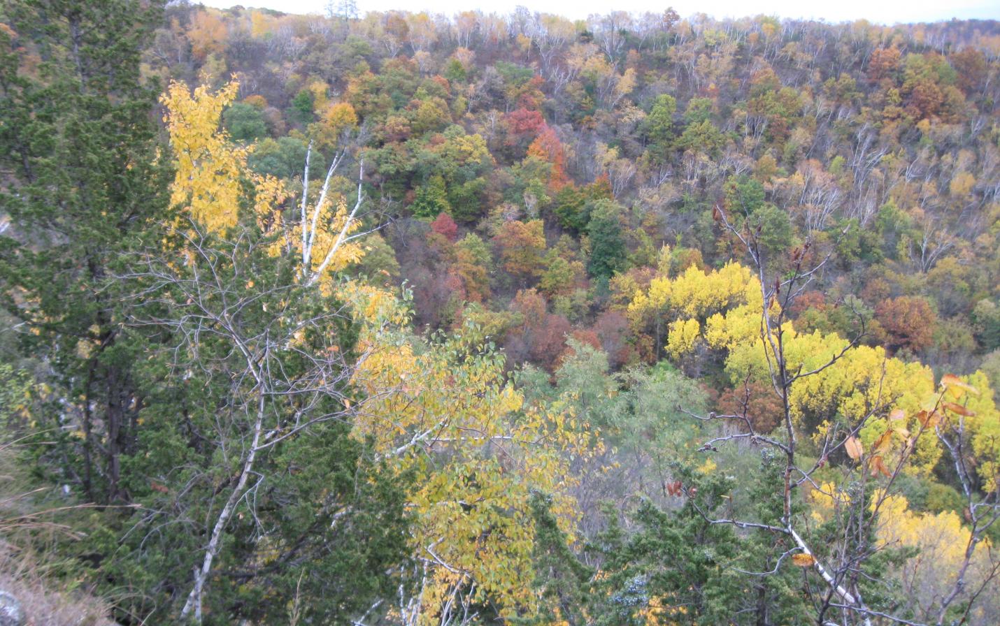 Beck/Miller Bluff in the Fall