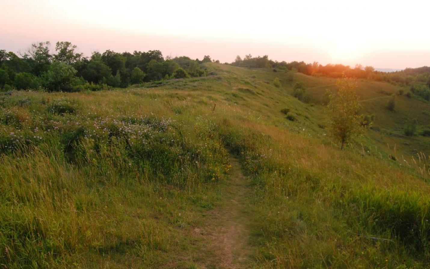 La Crosse Blufflands - Mathy Tract