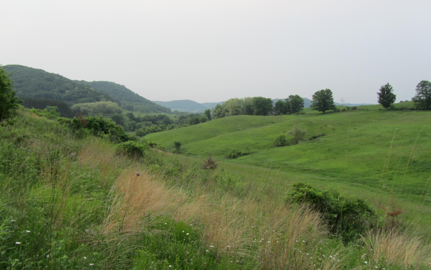 view of Tunnelville Cliffs property