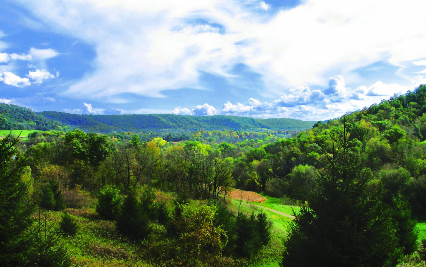 Protected land photographed by Robert Hurt