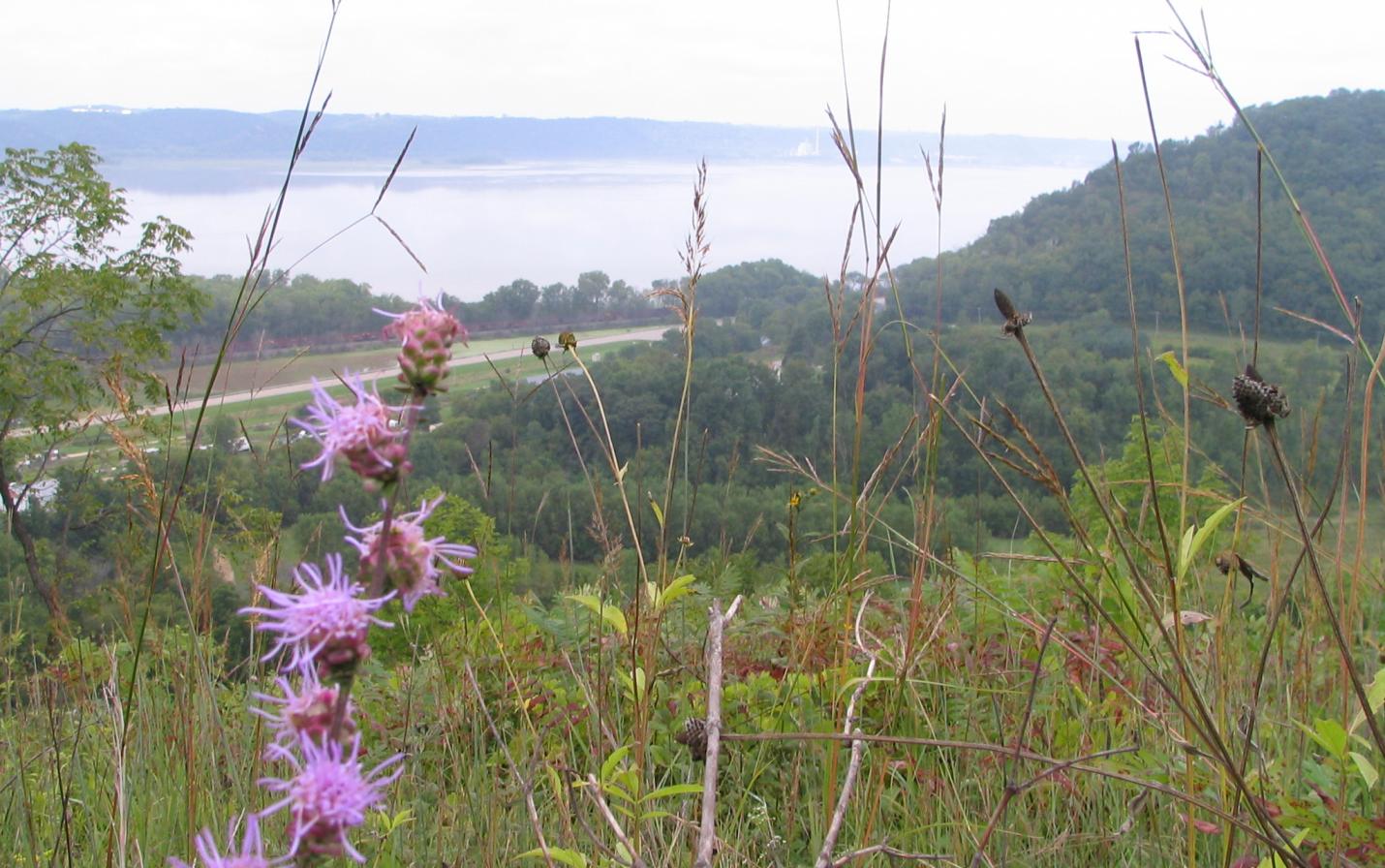 View from Sugar Creek Bkuff