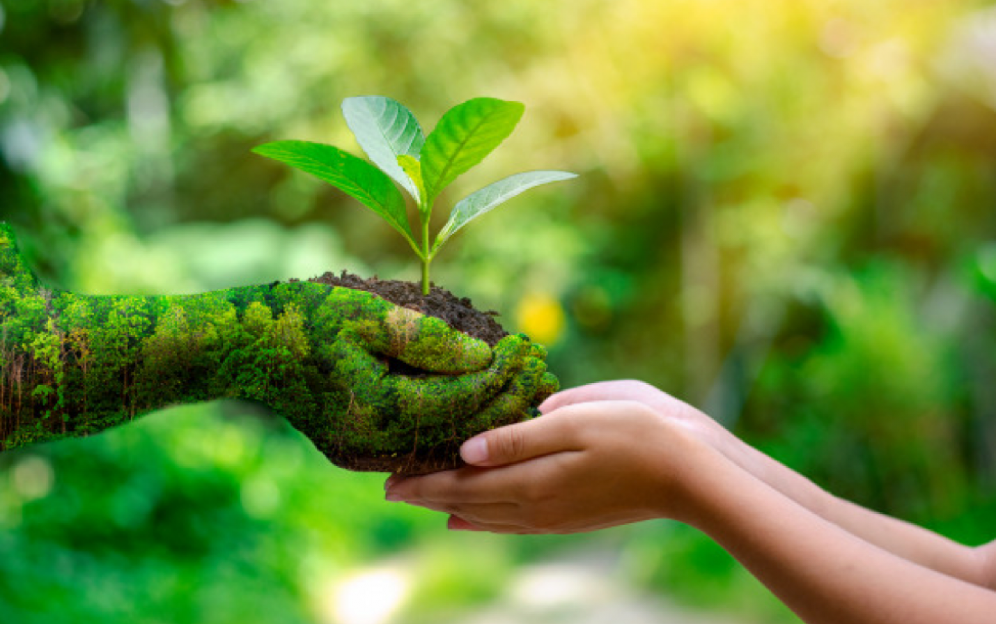 Two hands in a palm shape, one representing earth.