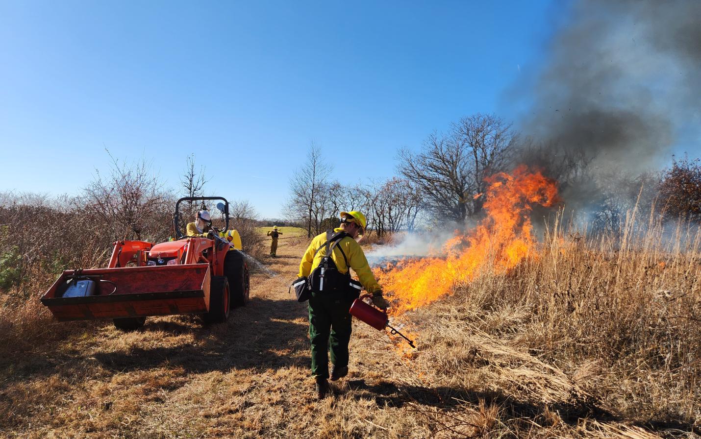 The burn begins along a fire break
