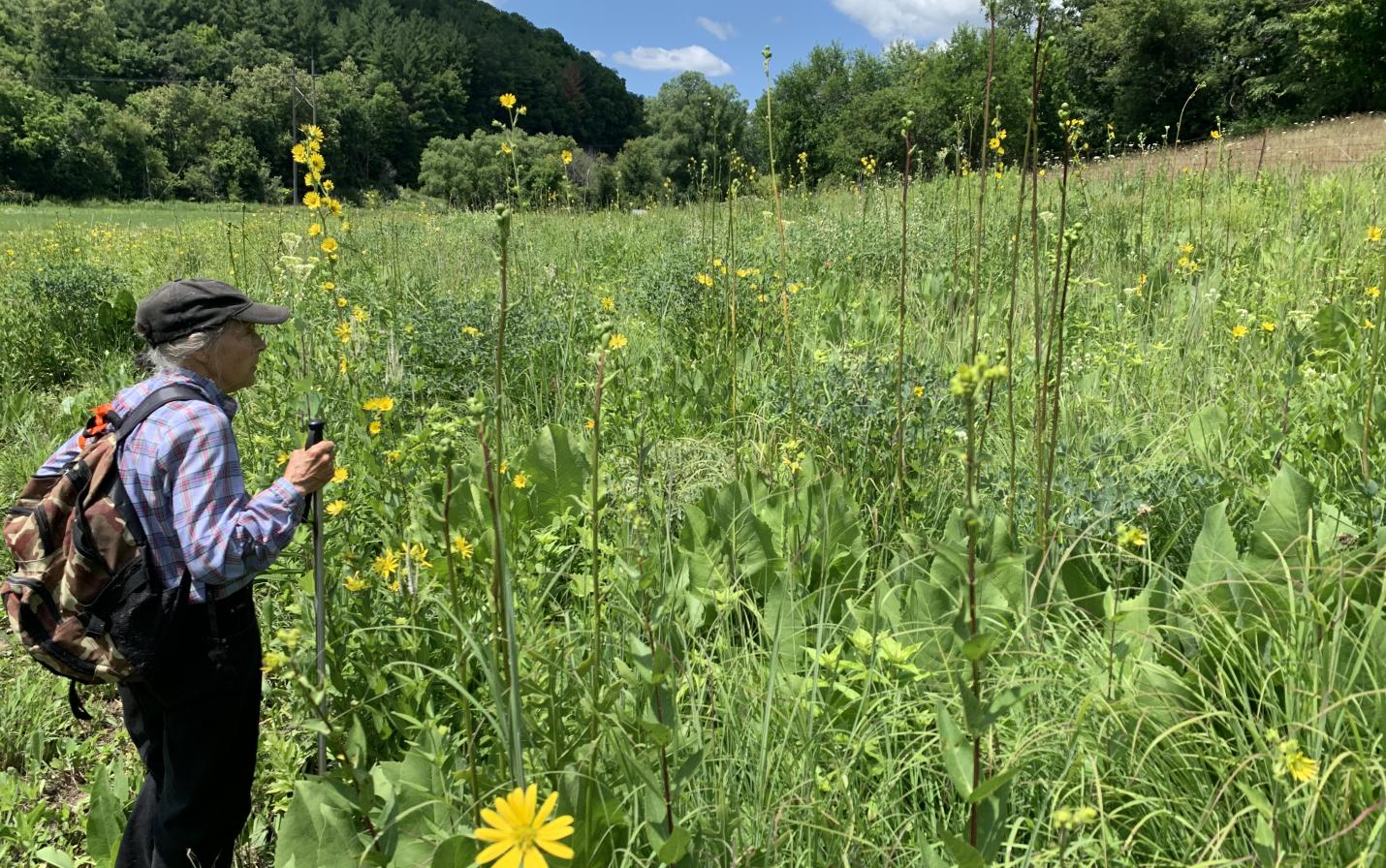 Shirley looks over the prairie she and Al worked to restore