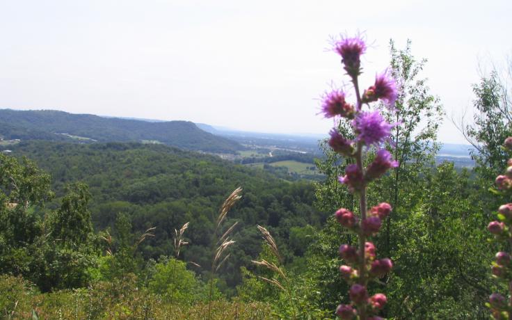 view from Tenwinkel/Donlin property