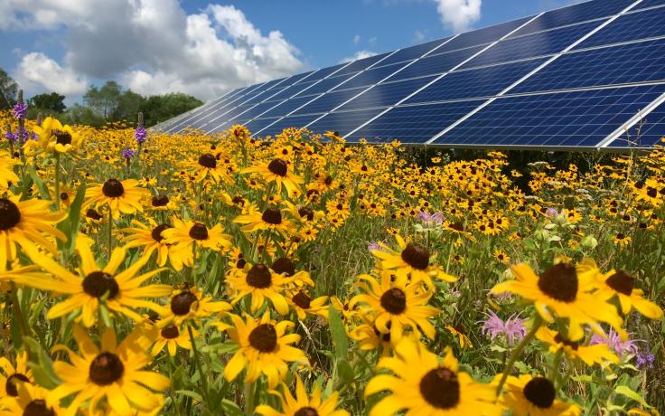 solar combine with agriculture for climate protection