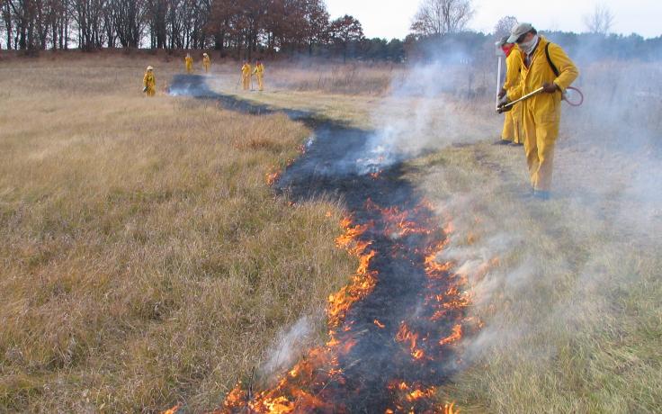 managed burn for prairie restoration at Holland Sand Prairie