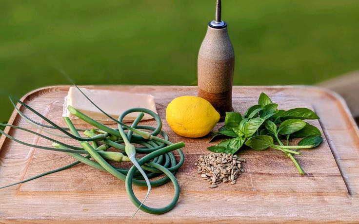 Garlic scape pesto ingredients