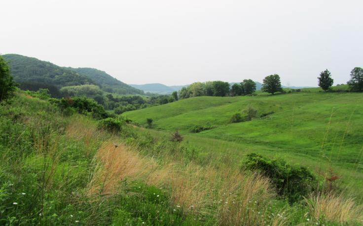 Tunnelville Cliffs is a 1,270-acre nature preserve in Vernon County, just outside of La Farge. It is owned and managed by the Conservancy. The preserve was acquired in two transactions. The first 150 acres were  purchased in 2005 and designated as a State Natural Area by the Wiscon- sin Department of Natural Resources in 2006. In 2009, a generous family  who owned adjacent land donated an adjoining 1,118 acres creating the preserve that we know today as Tunnelville Cliffs.