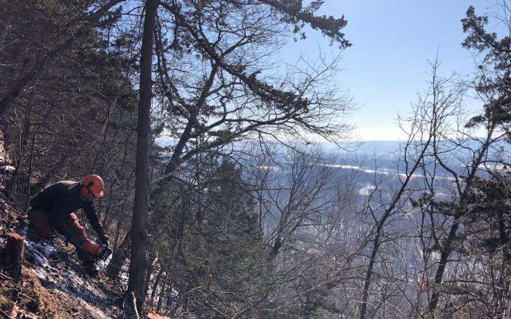 clearing cedars for prairie growth