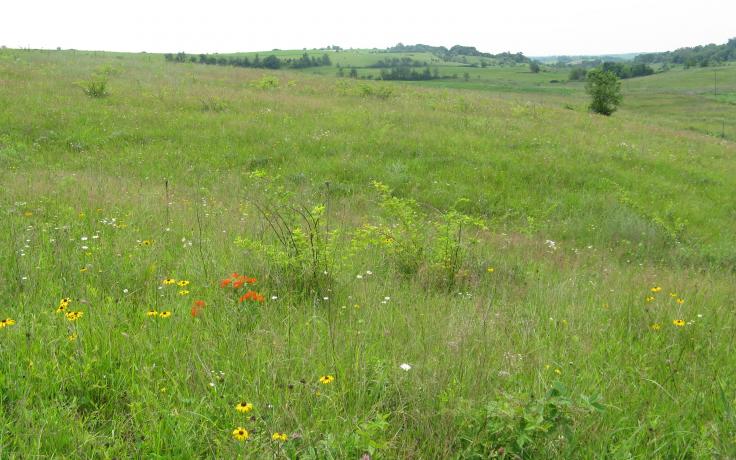 Boarah Creek Prairie State Natural Area